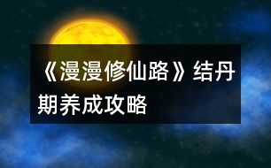《漫漫修仙路》結(jié)丹期養(yǎng)成攻略