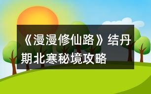 《漫漫修仙路》結丹期北寒秘境攻略