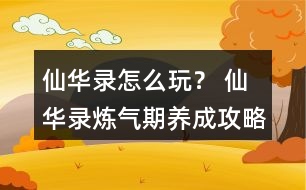 仙華錄怎么玩？ 仙華錄煉氣期養(yǎng)成攻略