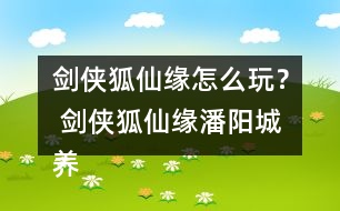 劍俠狐仙緣怎么玩？ 劍俠狐仙緣潘陽(yáng)城養(yǎng)成攻略
