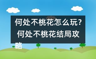 何處不桃花怎么玩？ 何處不桃花結(jié)局攻略
