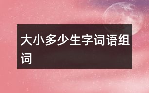 大小多少生字詞語組詞