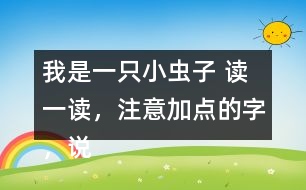 我是一只小蟲子 讀一讀，注意加點(diǎn)的字，說說你的發(fā)現(xiàn)