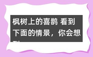 楓樹上的喜鵲 看到下面的情景，你會想到什么?試著寫下來。