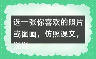 選一張你喜歡的照片或圖畫(huà)，仿照課文，說(shuō)說(shuō)上面都有什么。
