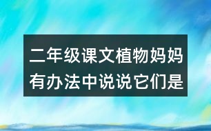 二年級(jí)課文植物媽媽有辦法中說說它們是怎么傳播種子的。