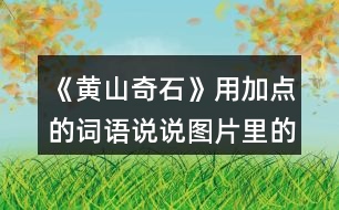 《黃山奇石》用加點(diǎn)的詞語說說圖片里的石頭，再選一張圖片寫下來。