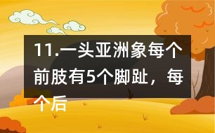 11.一頭亞洲象每個前肢有5個腳趾，每個后肢有4個腳趾，這頭亞洲象一共有多少個腳趾?