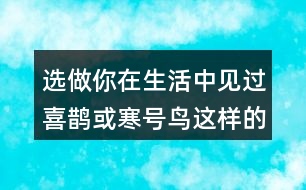選做：你在生活中見過喜鵲或寒號(hào)鳥這樣的人嗎?說說他的小故事。