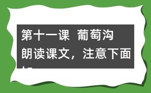第十一課  葡萄溝  朗讀課文，注意下面加點字的讀音。