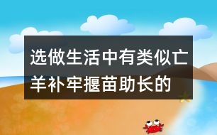 選做,生活中有類似亡羊補(bǔ)牢,揠苗助長(zhǎng)的事例嗎?寫一寫