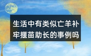 生活中有類似亡羊補牢揠苗助長的事例嗎說一說。