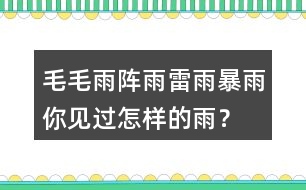 毛毛雨,陣雨,雷雨,暴雨你見過怎樣的雨？當(dāng)時的情景？
