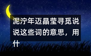泥濘年邁晶瑩尋覓說說這些詞的意思，用什么方法知道的