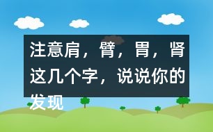 注意肩，臂，胃，腎這幾個(gè)字，說說你的發(fā)現(xiàn)