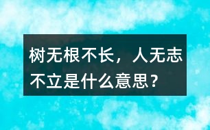 樹(shù)無(wú)根不長(zhǎng)，人無(wú)志不立是什么意思？
