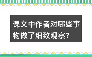 課文中作者對哪些事物做了細致觀察？