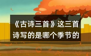 《古詩三首》這三首詩寫的是哪個(gè)季節(jié)的景色？你是從哪些地方發(fā)現(xiàn)的？