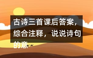 古詩三首課后答案，綜合注釋，說說詩句的意思？