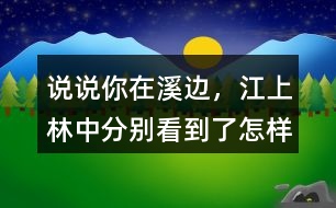 說說你在溪邊，江上、林中分別看到了怎樣的畫面。