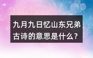 九月九日憶山東兄弟古詩(shī)的意思是什么？