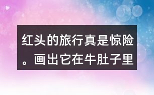 紅頭的旅行真是驚險(xiǎn)。畫出它在牛肚子里旅行的路線，再把這個(gè)故事講給別人聽。