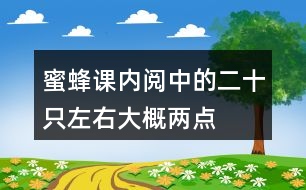 蜜蜂課內(nèi)閱中的二十只左右、大概、兩點(diǎn)四十分等詞中,你體會(huì)到了什么?