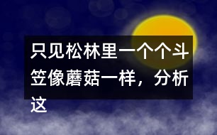 只見松林里一個個斗笠像蘑菇一樣，分析這句話是什么意思
