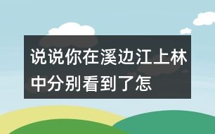 說(shuō)說(shuō)你在溪邊、江上、林中分別看到了怎樣的畫(huà)面,任選其中一個(gè)寫(xiě)下來(lái)