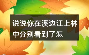 說說你在溪邊、江上、林中分別看到了怎樣的畫面。