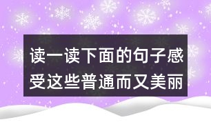 讀一讀下面的句子感受這些普通而又美麗的事物你也來寫一寫吧雨后我們會(huì)看到地