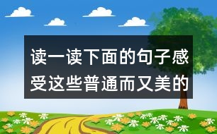 讀一讀下面的句子感受這些普通而又美的事物你也來寫一寫