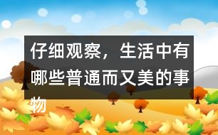 仔細觀察，生活中有哪些普通而又美的事物小練筆三年級