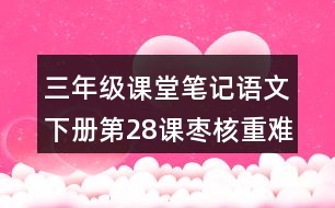 三年級課堂筆記：語文下冊第28課棗核重難點(diǎn)