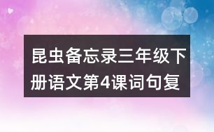 昆蟲備忘錄三年級下冊語文第4課詞句復(fù)習(xí)要點筆記