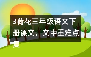 3荷花三年級(jí)語文下冊課文，文中重難點(diǎn)復(fù)習(xí)筆記歸納