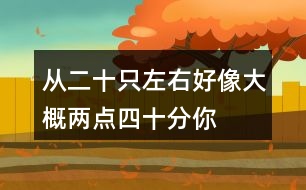 從二十只左右,好像,大概,兩點四十分你體會到了什么？