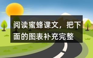 閱讀蜜蜂課文，把下面的圖表補(bǔ)充完整