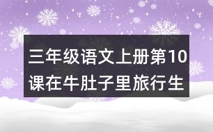 三年級語文上冊第10課在牛肚子里旅行生字注音及組詞