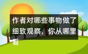 作者對(duì)哪些事物做了細(xì)致觀察，你從哪里看出來(lái)的