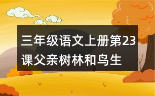 三年級語文上冊第23課父親、樹林和鳥生字組詞與多音字組詞