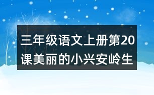 三年級(jí)語(yǔ)文上冊(cè)第20課美麗的小興安嶺生字組詞與多音字組詞