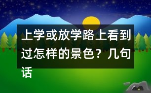 上學(xué)或放學(xué)路上看到過(guò)怎樣的景色？幾句話寫(xiě)下來(lái)