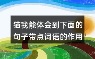 貓我能體會(huì)到下面的句子帶點(diǎn)詞語(yǔ)的作用，還能用這些詞語(yǔ)說(shuō)句子呢。