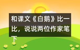 和課文《白鵝》比一比，說說兩位作家筆下的鵝有什么共同點(diǎn)？