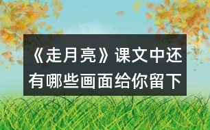 《走月亮》課文中還有哪些畫面給你留下了深刻的印象？和同學(xué)交流。