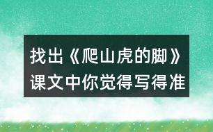 找出《爬山虎的腳》課文中你覺(jué)得寫(xiě)得準(zhǔn)確、形象的句子，抄寫(xiě)下來(lái)。