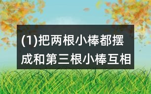 (1)把兩根小棒都擺成和第三根小棒互相平行。看一看，這兩根小棒互相平行嗎?
