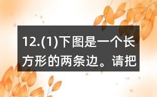 12.(1)下圖是一個長方形的兩條邊。請把這個長方形畫完整。