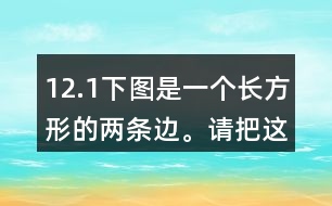 12.（1）下圖是一個長方形的兩條邊。請把這個長方形畫完整。